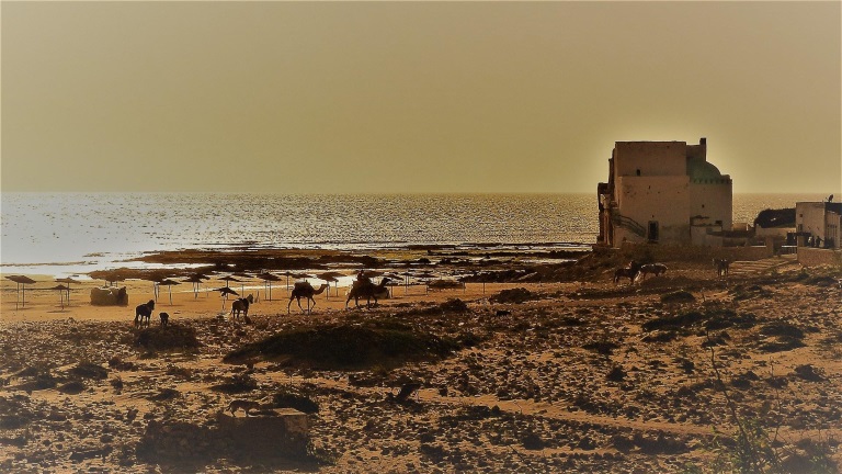 sidi kaouki Marabout kitesurf spot